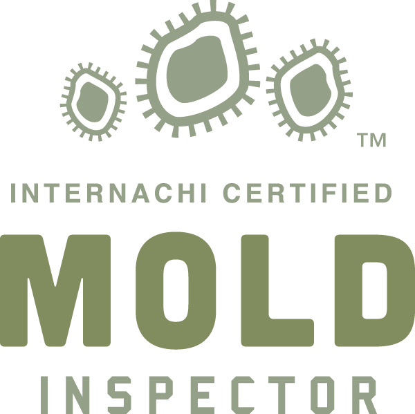 The Best Mold Inspection in Baton Rouge